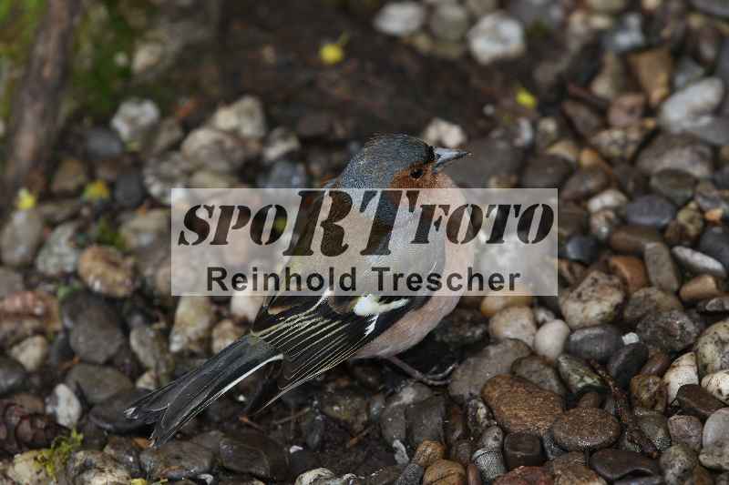 /Archiv-2023/03 07.04.2023 Speer Racing ADR/Impressionen